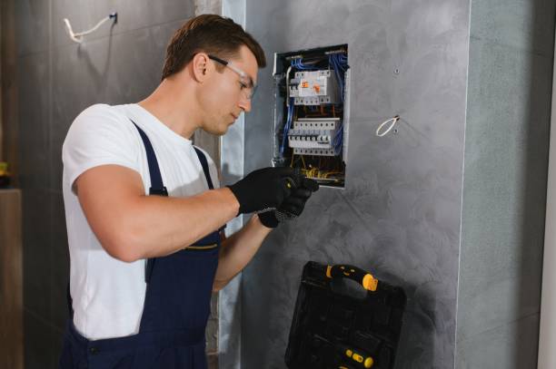 Best Ceiling Fan Installation Electrician  in Muleshoe, TX