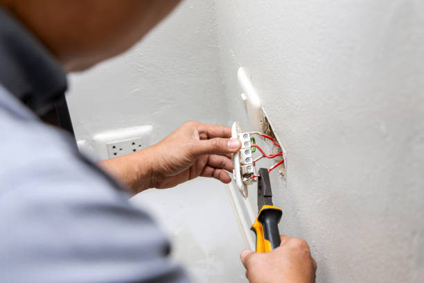 Best Electrician for Home Renovation  in Muleshoe, TX